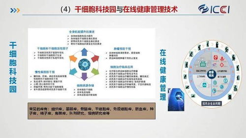 國(guó)合院發(fā)布八大規(guī)劃與產(chǎn)業(yè)化業(yè)務(wù)布局，賦能旅游開(kāi)發(fā)項(xiàng)目策劃咨詢新篇章