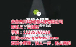 高密網(wǎng)絡(luò)公司專業(yè)推廣與鳳鳴網(wǎng)絡(luò)技術(shù)深度解析 高清視覺(jué)營(yíng)銷賦能旅游開(kāi)發(fā)項(xiàng)目策劃